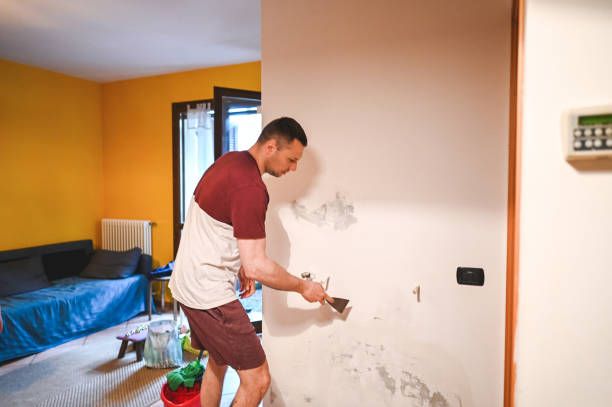 Best Office Mold Removal Services  in Lake Heritage, PA